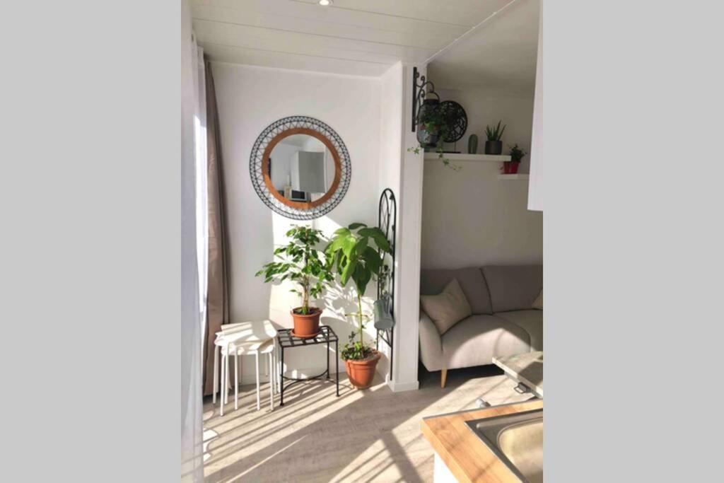 Grand Studio Cabine 30 M² Centre Ville, Refait A Neuf Pour Vous ! Climatise La Grande-Motte Buitenkant foto
